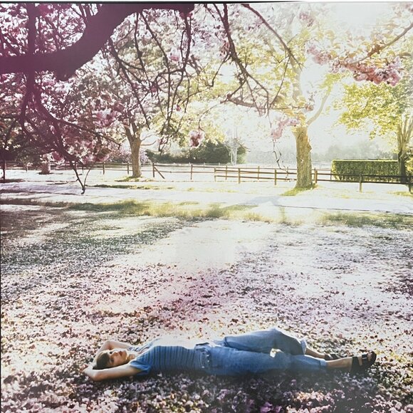 Speak Now (Taylor's Version) Vinyl - Picture 4 of 5